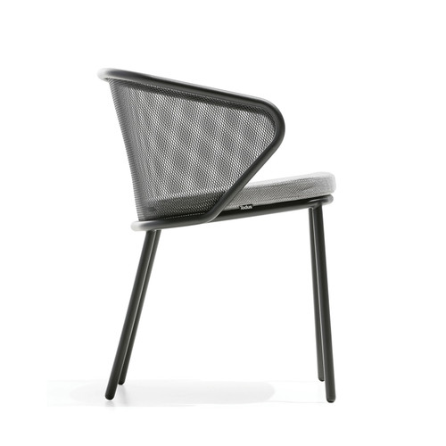 Condor Arm Chair