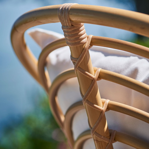 Arne Jacobsen Charlottenborg Chair Exterior