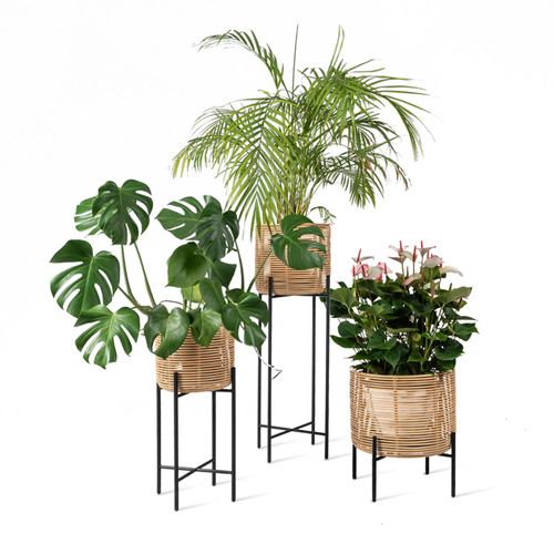 Vivi Plant Stand