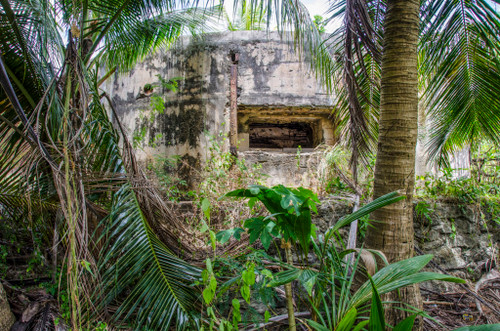 Bunker Hidden in the Jungle 60 minute Escape Room Design