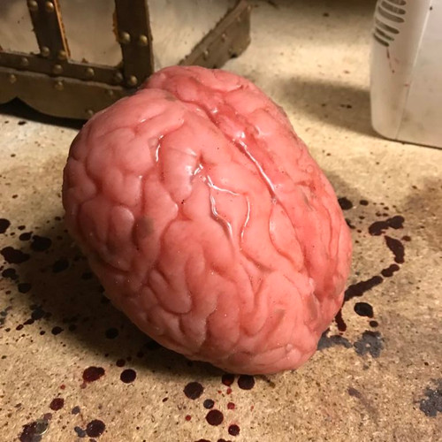 Silicone Brain Prop