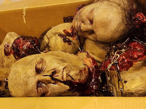 10 pack of Heads