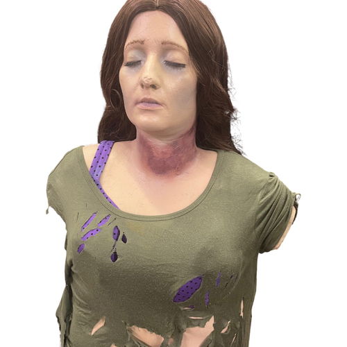 Ann Torso