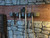 Medieval Room