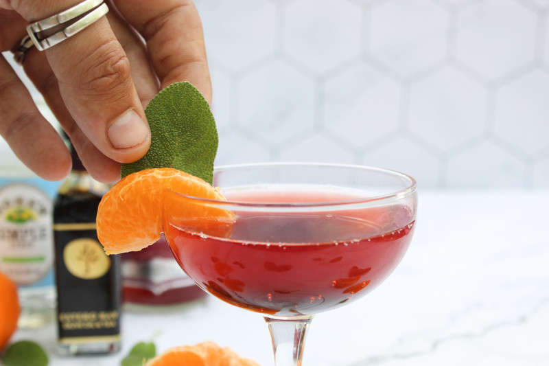 Cranberry Tangerine Dream Kombucha Punch Recipe