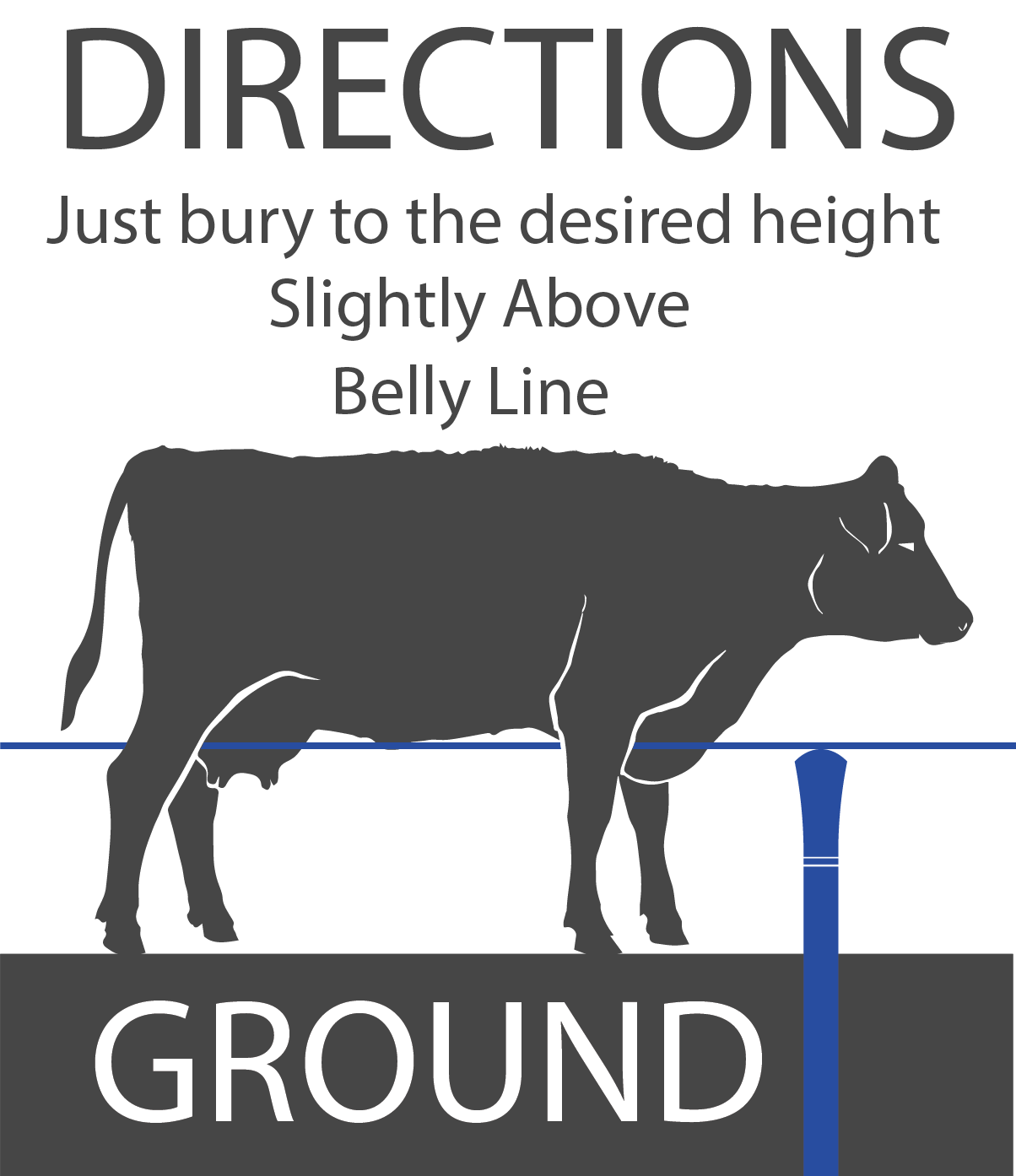 belly-brushing-cow-directions-illustration.png