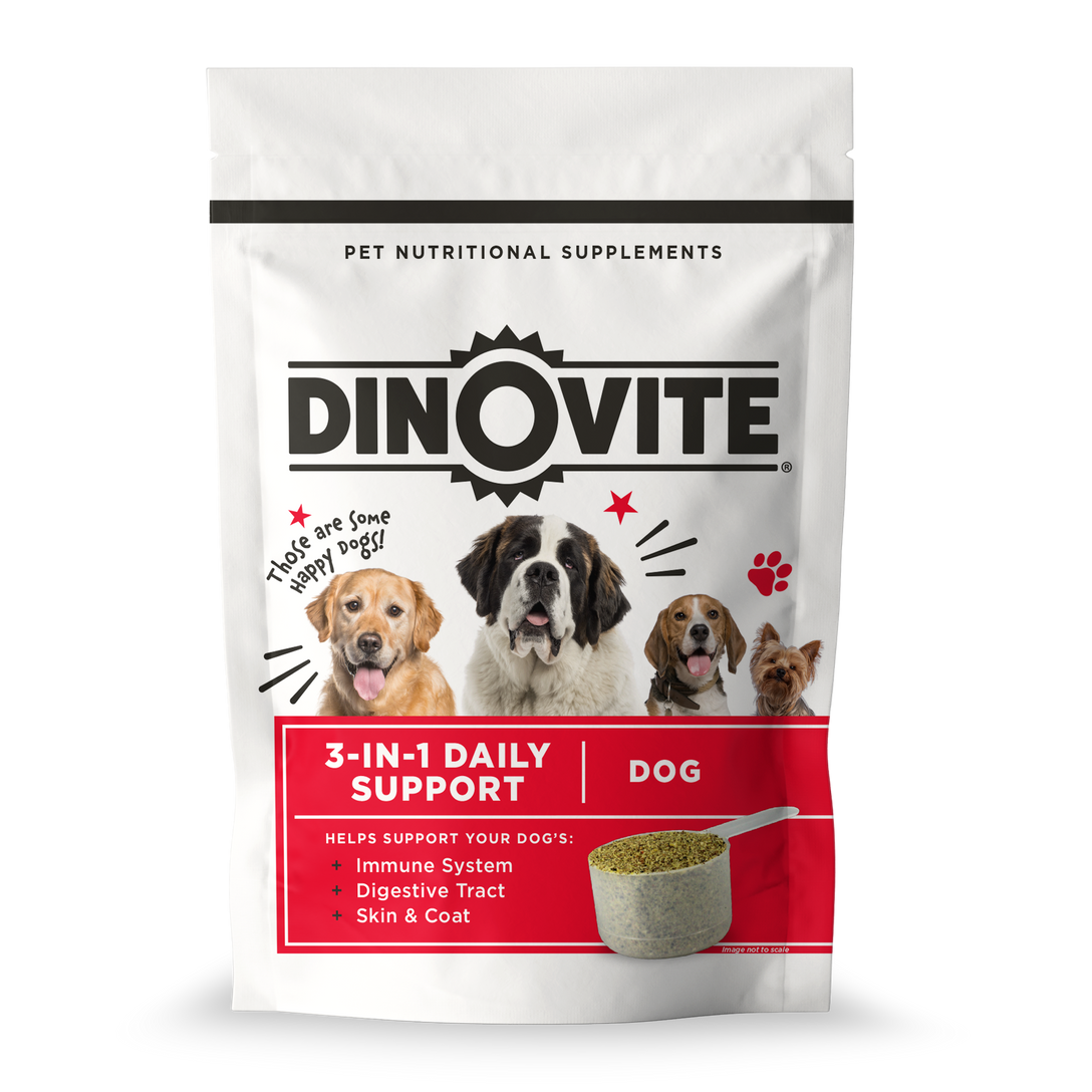 how can i improve my dogs digestion