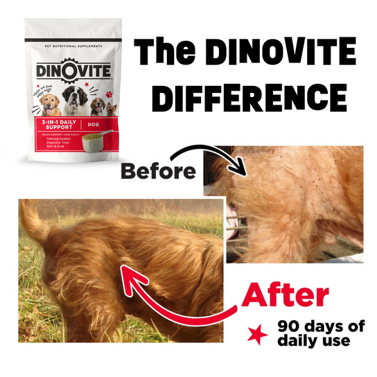 Dinovite for Dogs, Small, Medium & Large Breeds