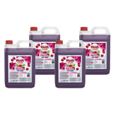 RAAK Framboise Zero Bidon 5tlr