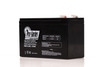 Eaton Powerware 103002836-6591 UPS  Set of 12 Replacement Batteries