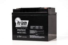 BW 12500 IT Bright Way Group Battery (Replacement)