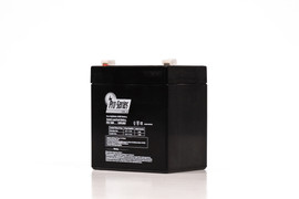 BW 1250 - F1 Bright Way Group Battery (Replacement)