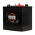 Pack Mule PC-3500 NXG 36V Set of (6) - 6 Volt Pro-Guide Batteries