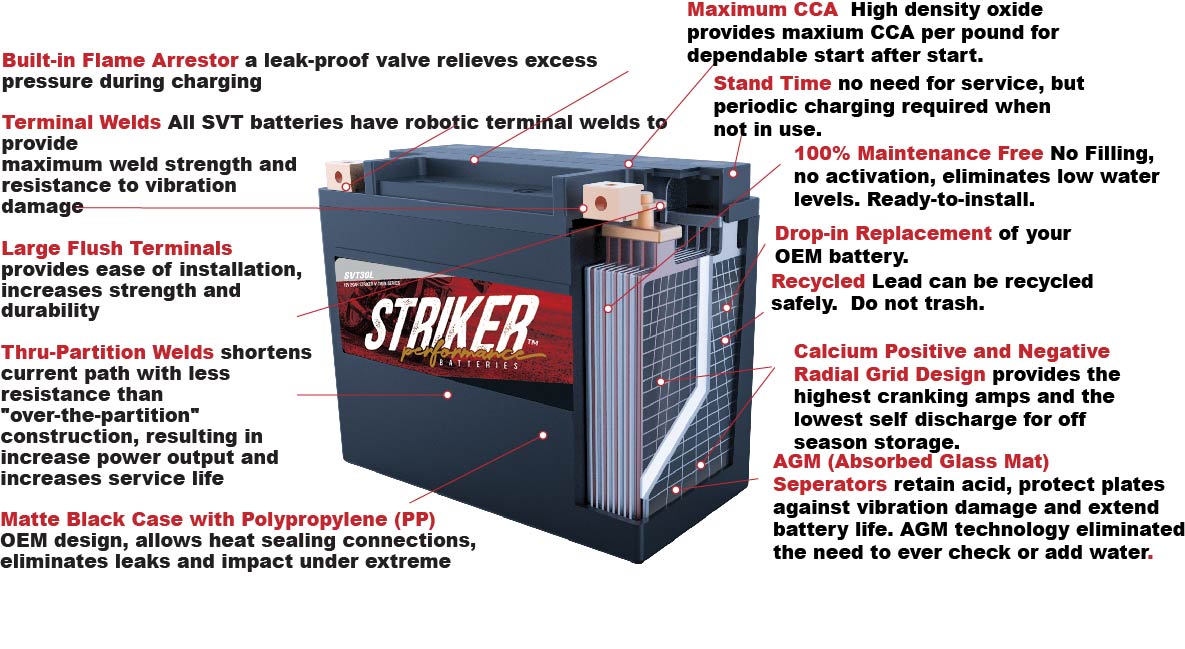 strikeragmcutaway2.jpg