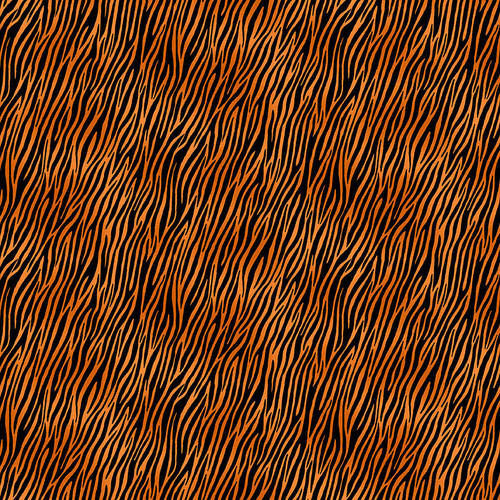 Around The World Animals Zebra Orange