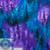 Purple Forest  C8457 per 25cm