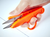 scissors snip