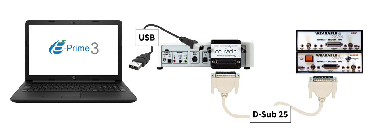 Chronos Adapter for Neuracle (Wearable Sensing)