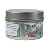 Agave Dreams Tin Candle