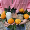 Honey & Apricot Shea Butter Lotion