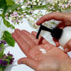 Prairie Flowers Shea Butter Lotion