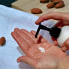 Sweet Almond Shea Butter Lotion