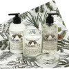 Balsam Fir Apothecary Box