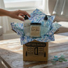 Sea Glass Collection Box