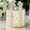 Moonflower Nectar Gold Mercury Glass Candle
