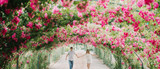 The Legend of One-hundred Roses