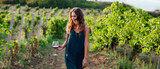 Wine Country Bordeaux