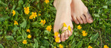 Earthing Connection