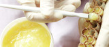 Key Ingredient Royal Jelly