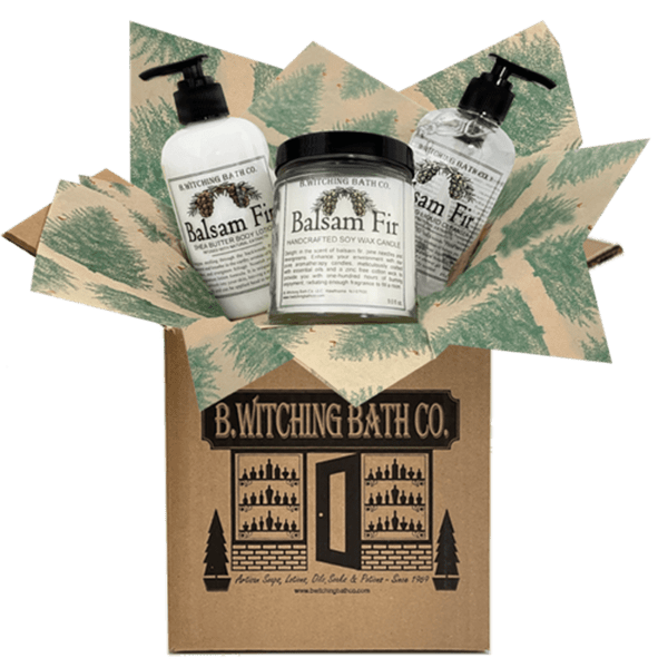 Balsam Fir Collection Box 2022