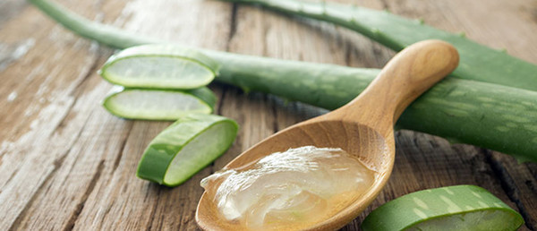 Key Ingredient Aloe Vera