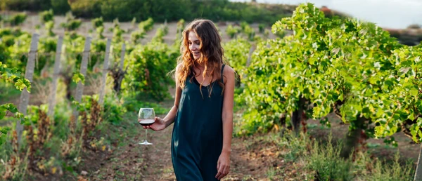 Wine Country Bordeaux