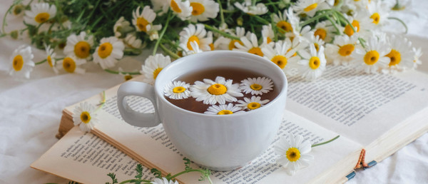 Crazy About Chamomile