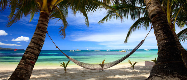 Dreams Under A Coconut Tree