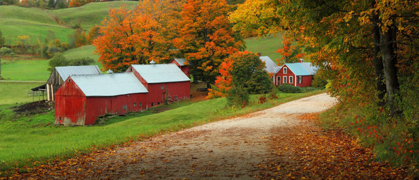 Walk Down Cranberry Lane