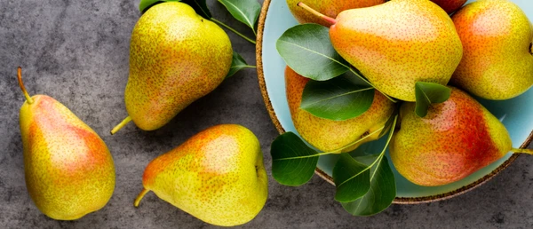 Golden Pear Tradition
