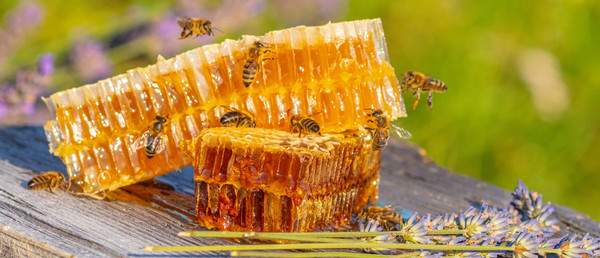 Key Ingredient  Functional Honey
