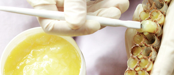 Key Ingredient Royal Jelly
