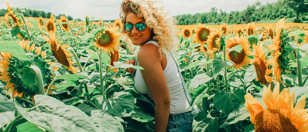 Take A Sunflower Walk