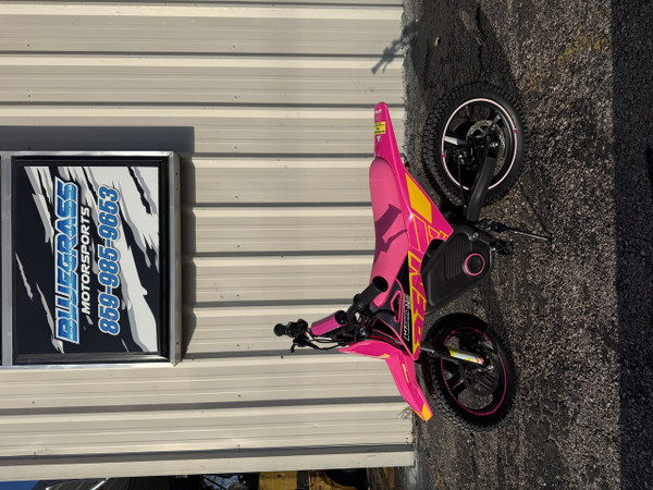 Copy of RFN WARRIOR SX-E500 PINK