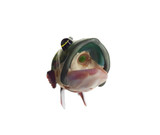 TRAPPER STUDIO - Full Fish Brook Trout Chillum Pipe
