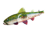 TRAPPER STUDIO - Brook Trout Dry Pipe