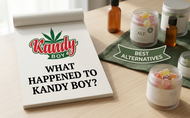What Happened to Kandy Boy? Best Alternatives