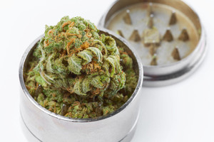 Should You Use a Grinder for Weed? To Grind, or Not to Grind - The Dab  Lab