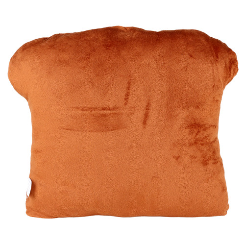 Fuckin' Toasted Plush Pillow