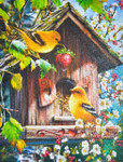 Home Tweet Home 500 Piece Jigsaw Puzzle